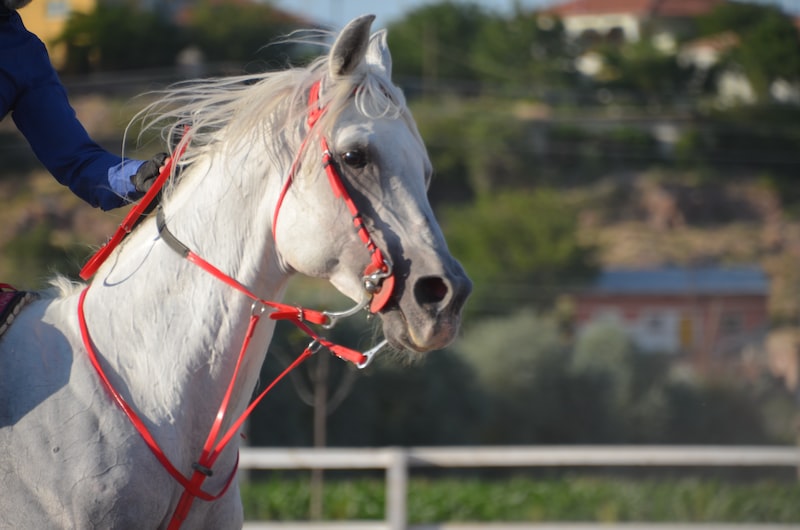 Spor Malzemelerinin Garanti Süreleri ve Teknik Destek