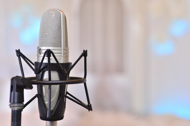 Burada Mikrofon Sadece Müzik İçin Değil Burada Mikrofon Sadece Müzik İçin Değil